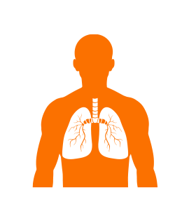 Pulmonary Function Tests (PFTS)